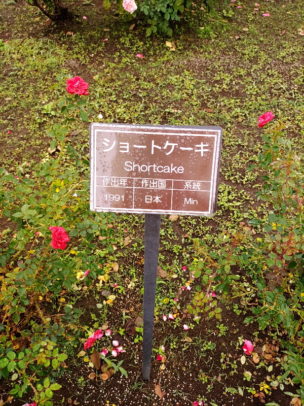 名札交換したらしい