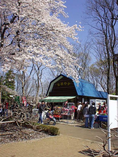 ふじ園前の売店