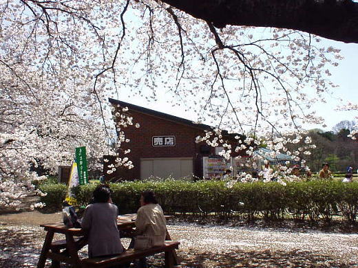大芝生売店2